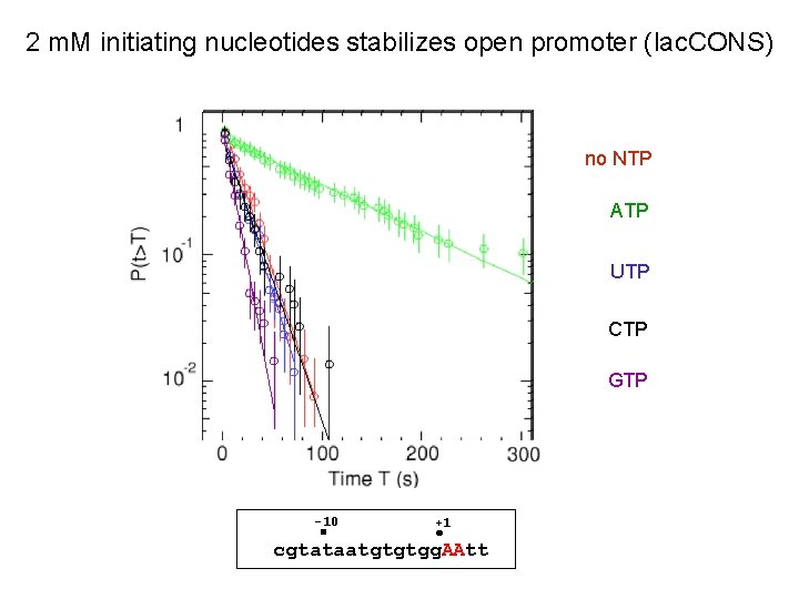 2 m. M initiating nucleotides stabilizes open promoter (lac. CONS) no NTP ATP UTP