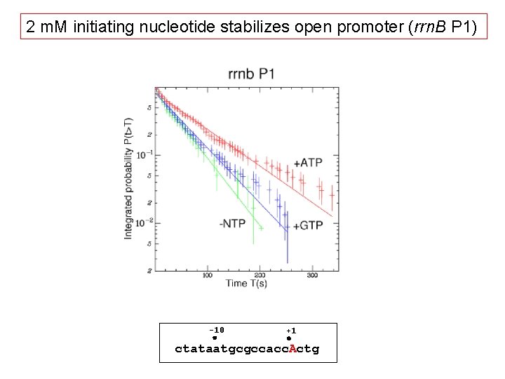2 m. M initiating nucleotide stabilizes open promoter (rrn. B P 1) -10 +1