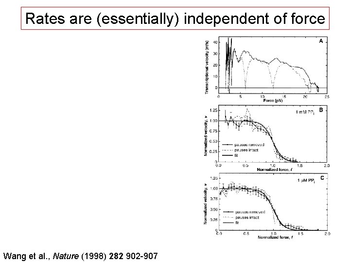 Rates are (essentially) independent of force Wang et al. , Nature (1998) 282 902