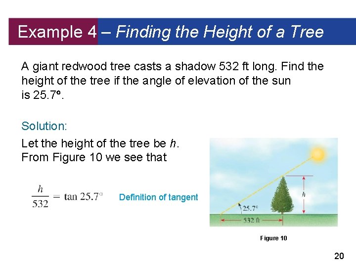 Example 4 – Finding the Height of a Tree A giant redwood tree casts