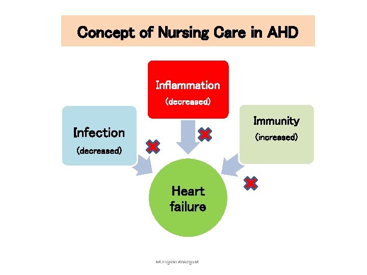Concept of Nursing Care in AHD Inflammation (decreased) Immunity Infection (increased) (decreased) Heart failure