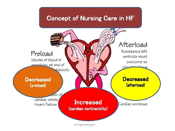 Concept of Nursing Care in HF Decreased (preload) (afterload) Increased (cardiac contractility) ผศ. กาญจนา