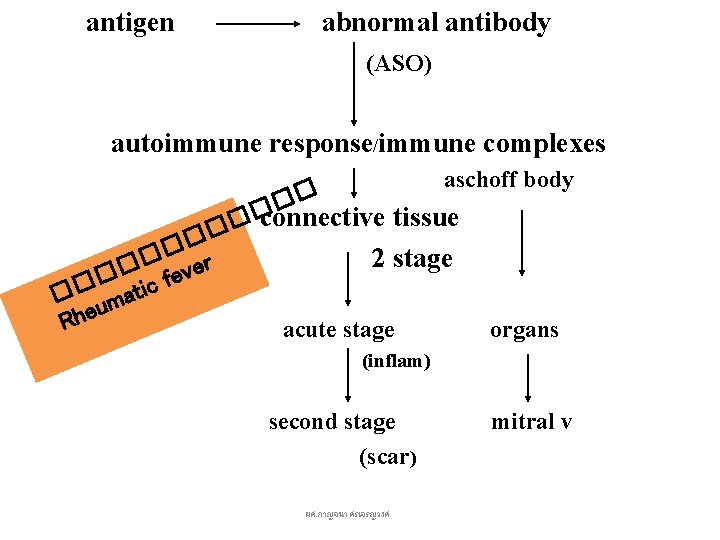 antigen abnormal antibody (ASO) autoimmune response/immune complexes aschoff body � � � connective tissue