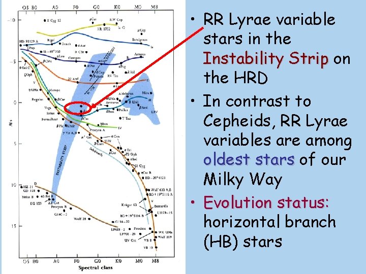  • RR Lyrae variable stars in the Instability Strip on the HRD •