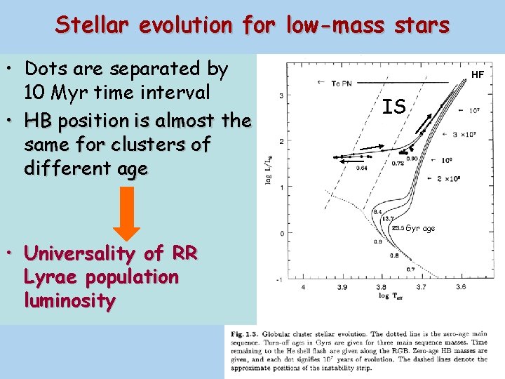 Stellar evolution for low-mass stars • Dots are separated by 10 Myr time interval