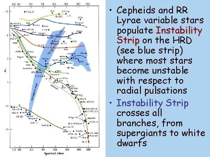  • Cepheids and RR Lyrae variable stars populate Instability Strip on the HRD