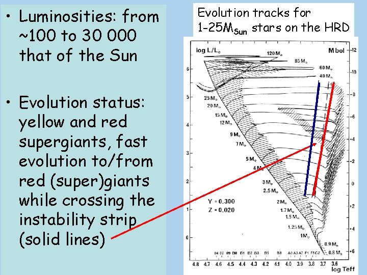  • Luminosities: from ~100 to 30 000 that of the Sun • Evolution