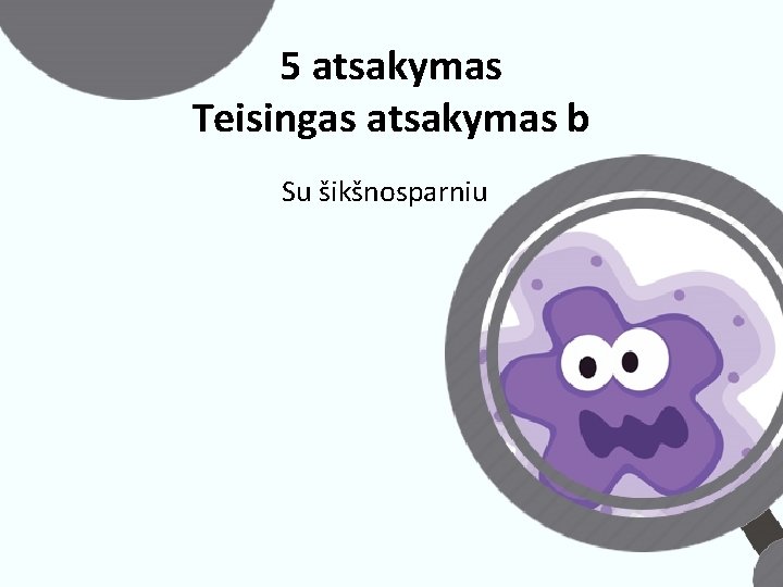 5 atsakymas Teisingas atsakymas b Su šikšnosparniu 