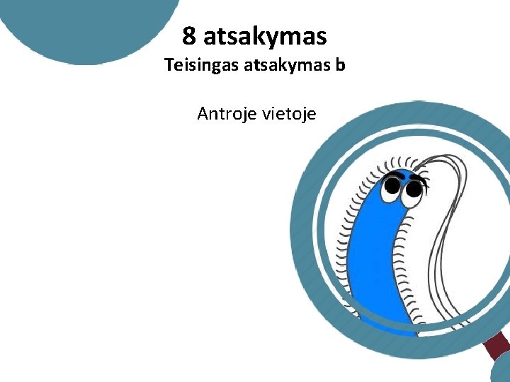 8 atsakymas Teisingas atsakymas b Antroje vietoje 