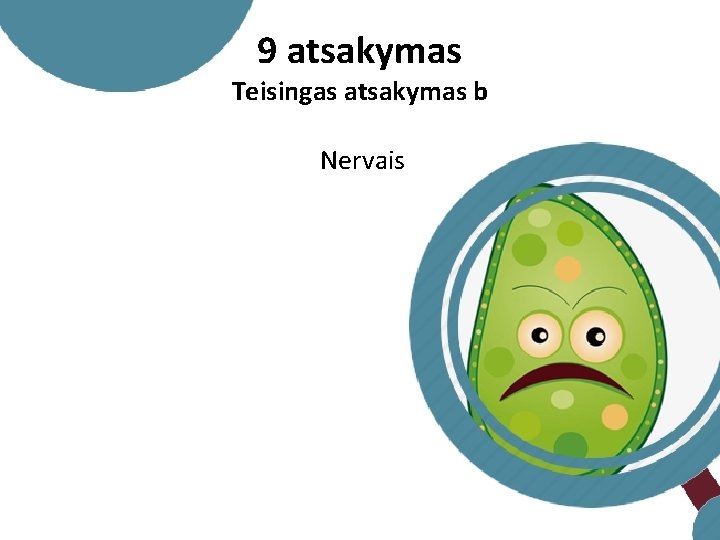 9 atsakymas Teisingas atsakymas b Nervais 