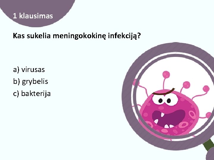 1 klausimas Kas sukelia meningokokinę infekciją? a) virusas b) grybelis c) bakterija 