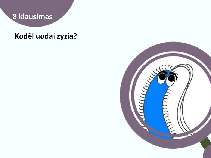 8 klausimas Kodėl uodai zyzia? 