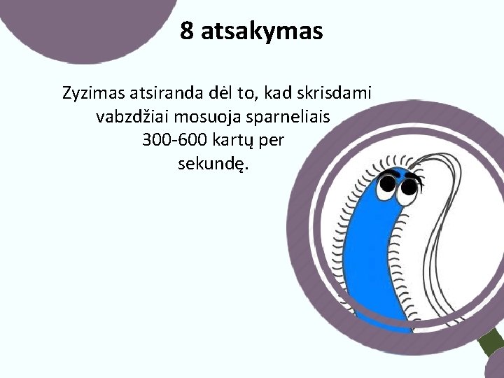 8 atsakymas Zyzimas atsiranda dėl to, kad skrisdami vabzdžiai mosuoja sparneliais 300 -600 kartų