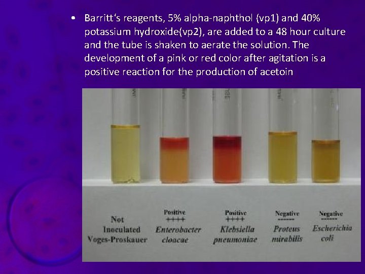  • Barritt‘s reagents, 5% alpha-naphthol (vp 1) and 40% potassium hydroxide(vp 2), are