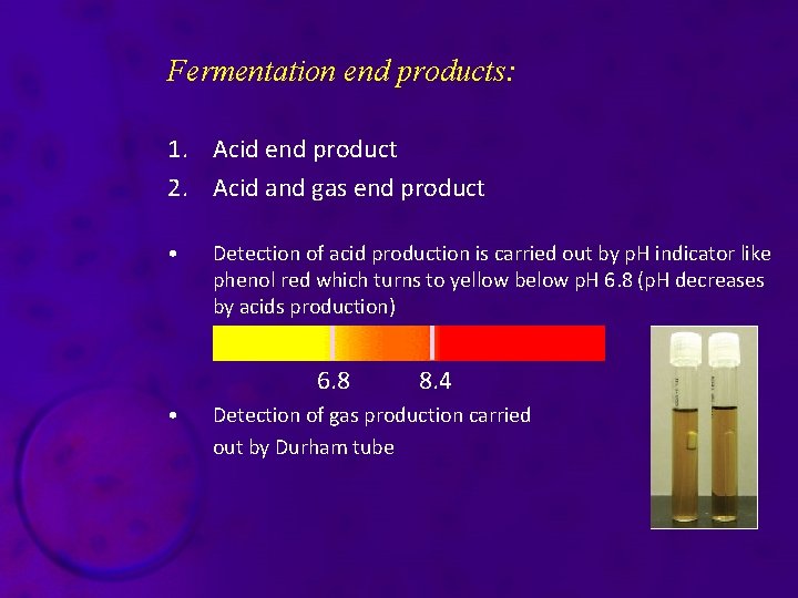 Fermentation end products: 1. Acid end product 2. Acid and gas end product •
