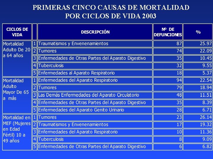 PRIMERAS CINCO CAUSAS DE MORTALIDAD POR CICLOS DE VIDA 2003 