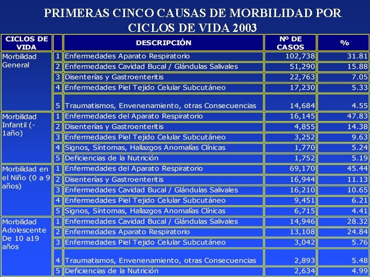 PRIMERAS CINCO CAUSAS DE MORBILIDAD POR CICLOS DE VIDA 2003 