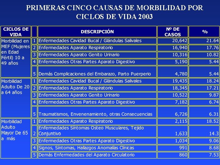 PRIMERAS CINCO CAUSAS DE MORBILIDAD POR CICLOS DE VIDA 2003 
