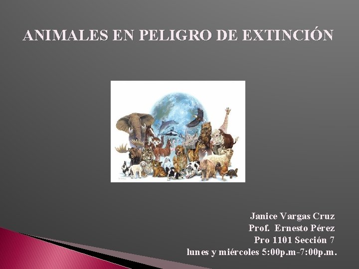 ANIMALES EN PELIGRO DE EXTINCIÓN Janice Vargas Cruz Prof. Ernesto Pérez Pro 1101 Sección