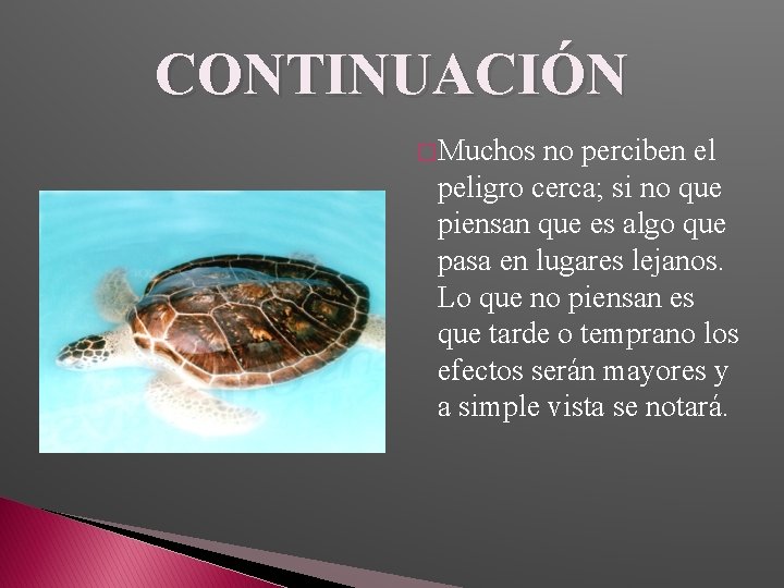 CONTINUACIÓN � Muchos no perciben el peligro cerca; si no que piensan que es