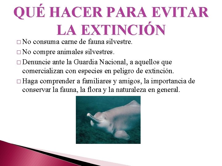 QUÉ HACER PARA EVITAR LA EXTINCIÓN � No consuma carne de fauna silvestre. �