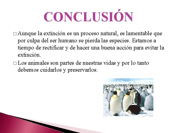 CONCLUSIÓN � Aunque la extinción es un proceso natural, es lamentable que por culpa