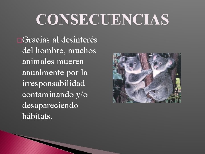 CONSECUENCIAS �Gracias al desinterés del hombre, muchos animales mueren anualmente por la irresponsabilidad contaminando