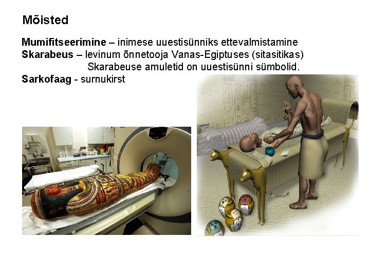 Mõisted Mumifitseerimine – inimese uuestisünniks ettevalmistamine Skarabeus – levinum õnnetooja Vanas-Egiptuses (sitasitikas) Skarabeuse amuletid