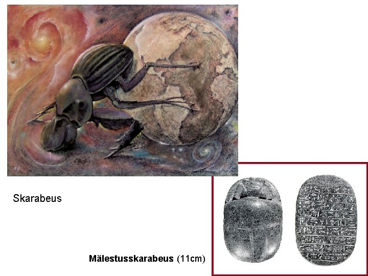 Skarabeus Mälestusskarabeus (11 cm) 