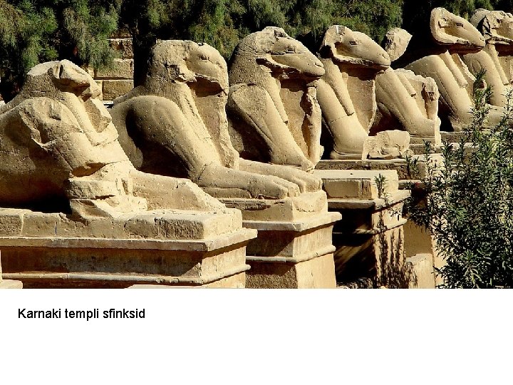 Karnaki templi sfinksid 