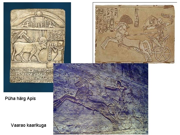 Püha härg Apis Vaarao kaarikuga 