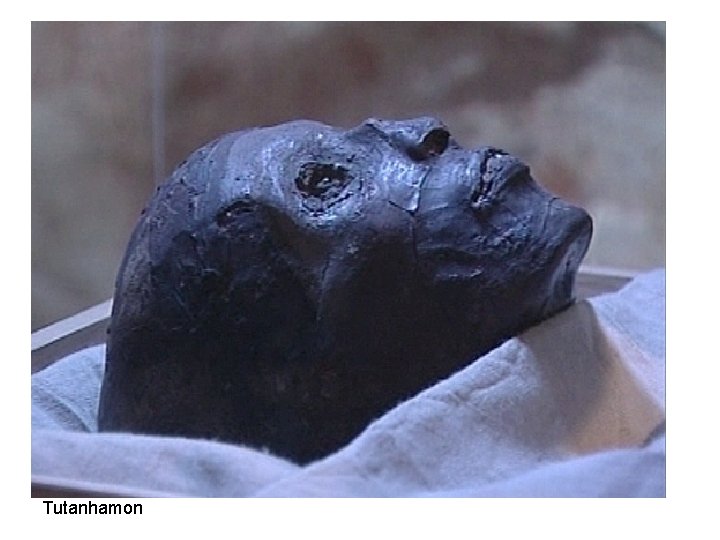 Tutanhamon 