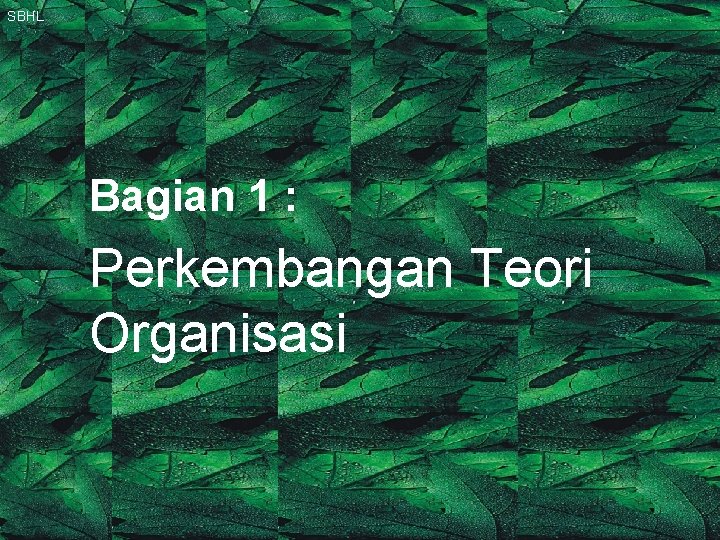 SBHL Bagian 1 : Perkembangan Teori Organisasi 