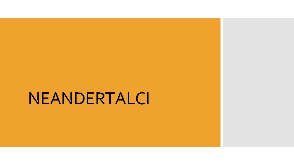NEANDERTALCI LENTA VREMENA 200 000 pr Kr neandertalci