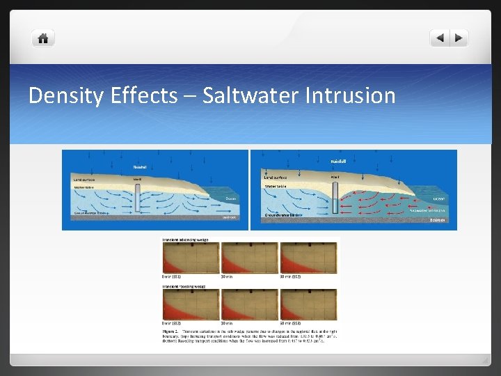 Density Effects – Saltwater Intrusion 