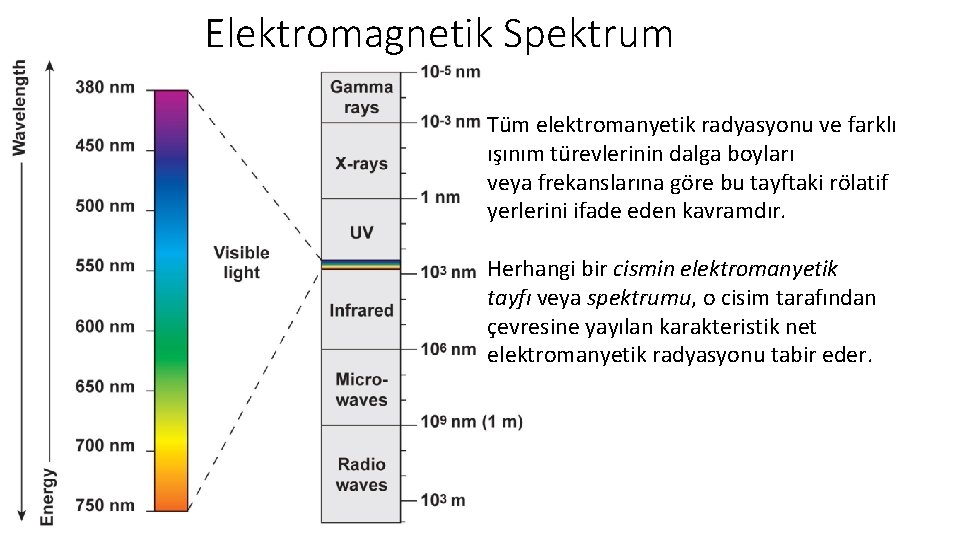 Elektromagnetik Spektrum Tüm elektromanyetik radyasyonu ve farklı ışınım türevlerinin dalga boyları veya frekanslarına göre