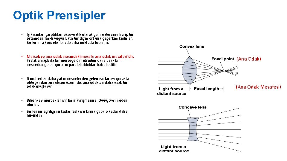 Optik Prensipler • Işık ışınları çarptıkları yüzeye dik olarak gelme durumu hariç bir ortamdan