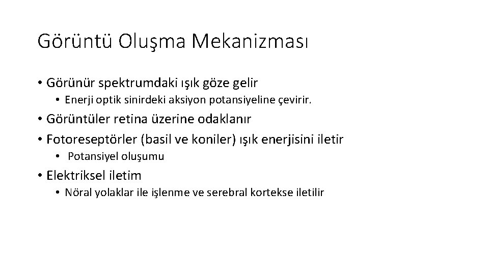 Görüntü Oluşma Mekanizması • Görünür spektrumdaki ışık göze gelir • Enerji optik sinirdeki aksiyon