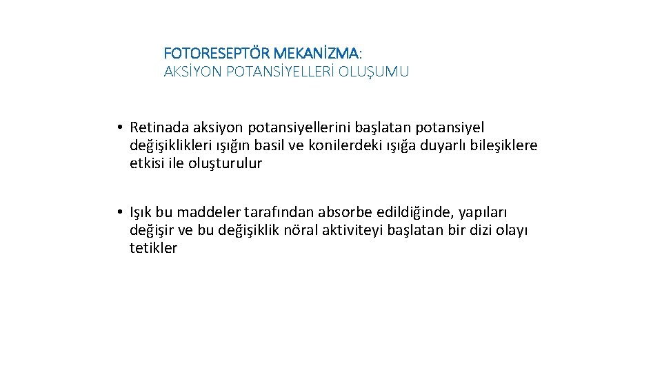 FOTORESEPTÖR MEKANİZMA: AKSİYON POTANSİYELLERİ OLUŞUMU • Retinada aksiyon potansiyellerini başlatan potansiyel değişiklikleri ışığın basil