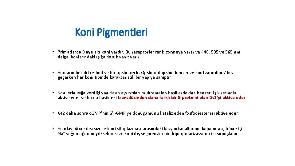 Koni Pigmentleri • Primatlarda 3 ayrı tip koni vardır. Bu reseptörler renk görmeye yarar