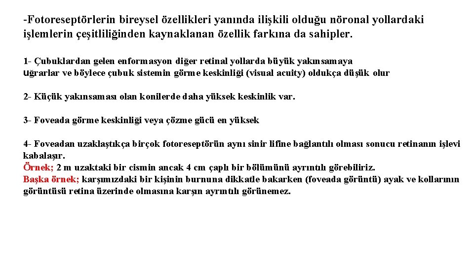 -Fotoreseptörlerin bireysel özellikleri yanında ilişkili olduğu nöronal yollardaki işlemlerin çeşitliliğinden kaynaklanan özellik farkına da
