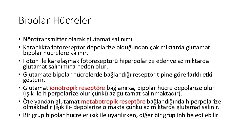 Bipolar Hücreler • Nörotransmitter olarak glutamat salınımı • Karanlıkta fotoreseptor depolarize olduğundan çok miktarda