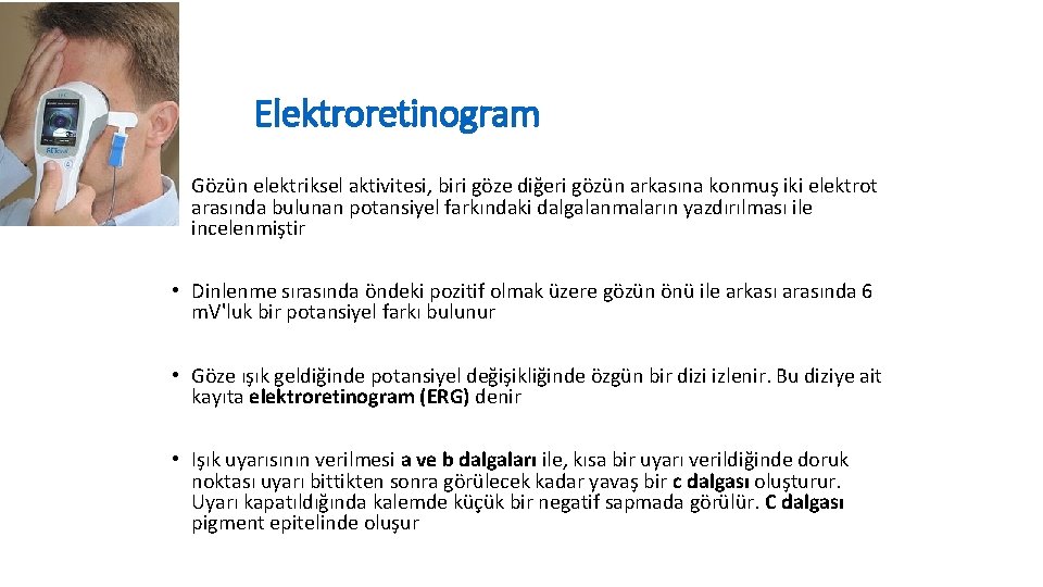Elektroretinogram • Gözün elektriksel aktivitesi, biri göze diğeri gözün arkasına konmuş iki elektrot arasında