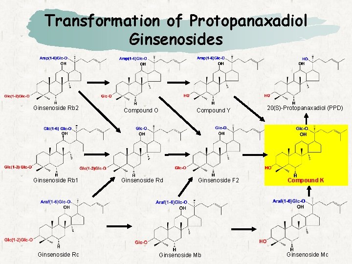 Transformation of Protopanaxadiol Ginsenosides Ginsenoside Rb 2 Compound O Ginsenoside Rb 1 Ginsenoside Rd