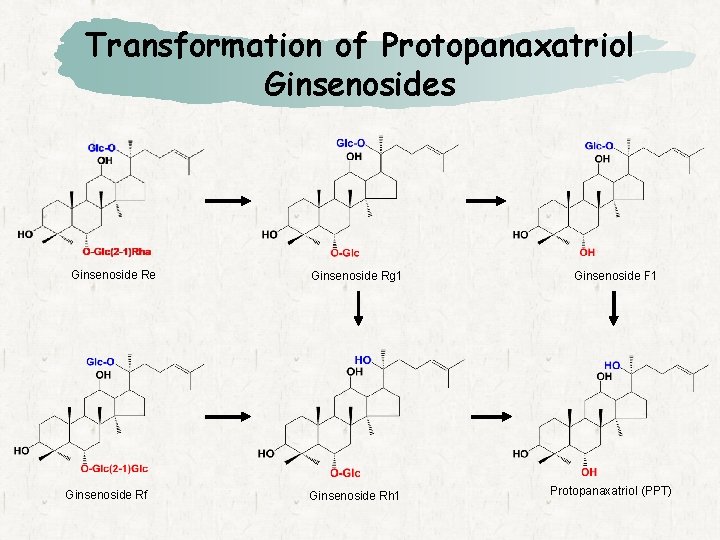 Transformation of Protopanaxatriol Ginsenosides Ginsenoside Re Ginsenoside Rf Ginsenoside Rg 1 Ginsenoside Rh 1