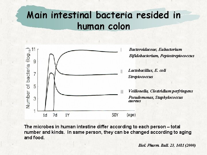 Main intestinal bacteria resided in human colon Bacteroidaceae, Eubacterium Bifidobacterium, Peptostreptococcus Lactobacillus, E. coli