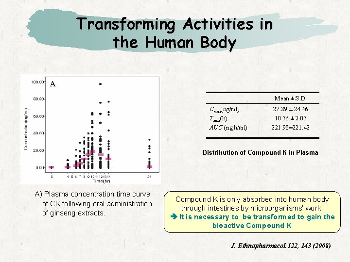 Transforming Activities in the Human Body A Mean ± S. D. Cmax(ng/ml) Tmax(h) AUC