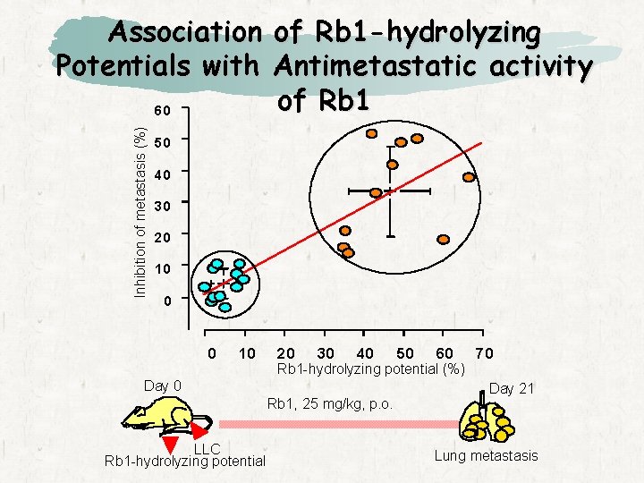Inhibition of metastasis (%) Association of Rb 1 -hydrolyzing Potentials with Antimetastatic activity of