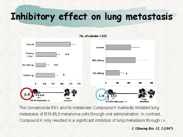 Inhibitory effect on lung metastasis No. of colonies ± S. D. ** ** *