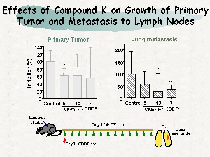 Effects of Compound K on Growth of Primary Tumor and Metastasis to Lymph Nodes